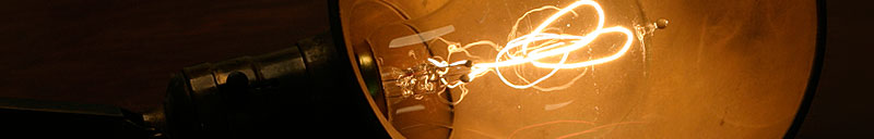 Edison Light Bulbs