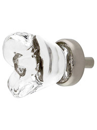 Chili Flower Clear-Glass Cabinet Knob with Brass Base in Satin Nickel