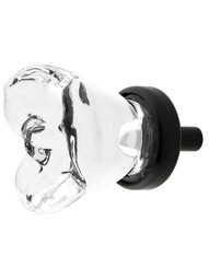 Chili Flower Clear-Glass Cabinet Knob with Brass Base in Oil-Rubbed Bronze