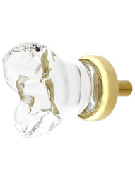 Chili Flower Clear-Glass Cabinet Knob with Brass Base in Polished Brass