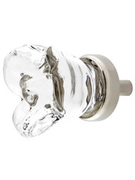 Chili Flower Clear-Glass Cabinet Knob with Brass Base in Polished Nickel