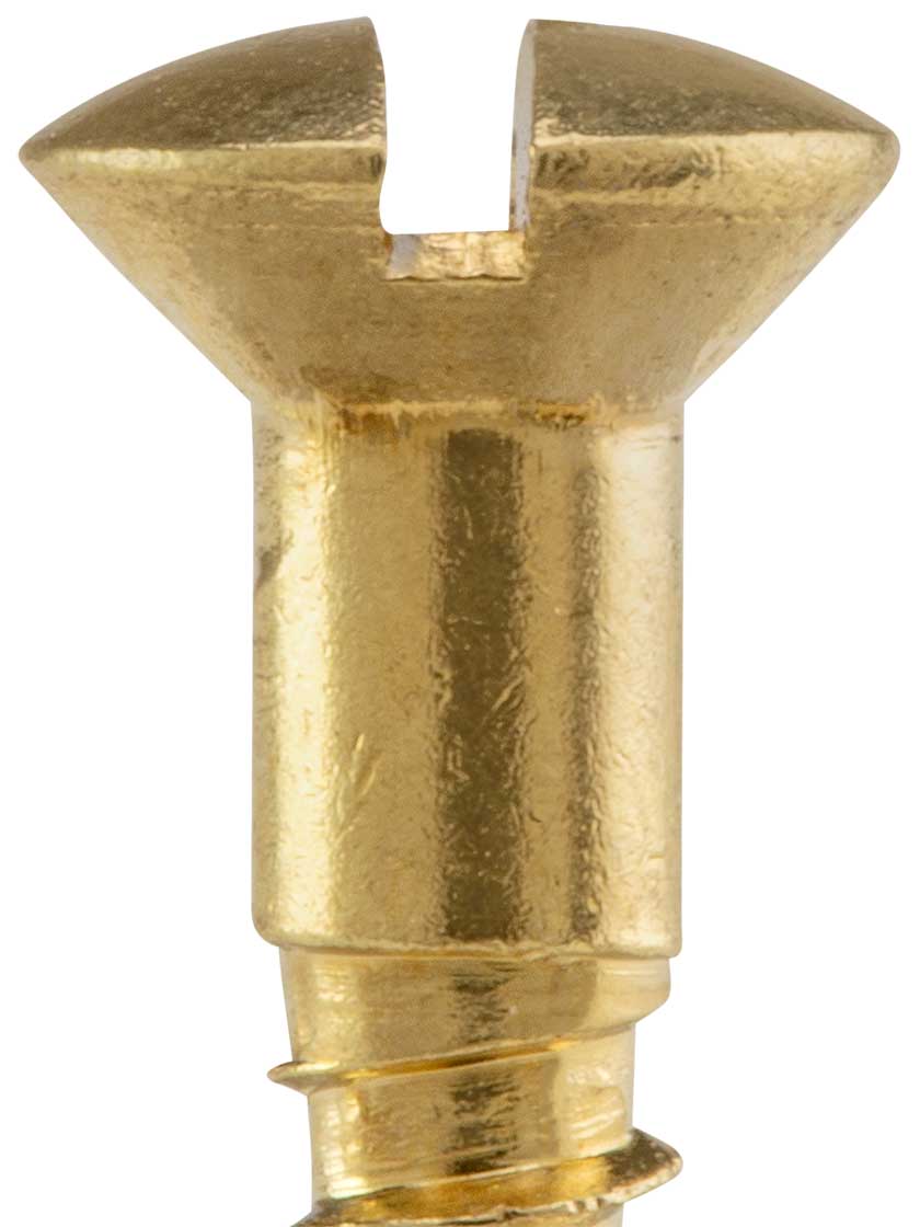5 x 1 Inch Oval Head Slotted Brass Wood Screws 25 Pack House of