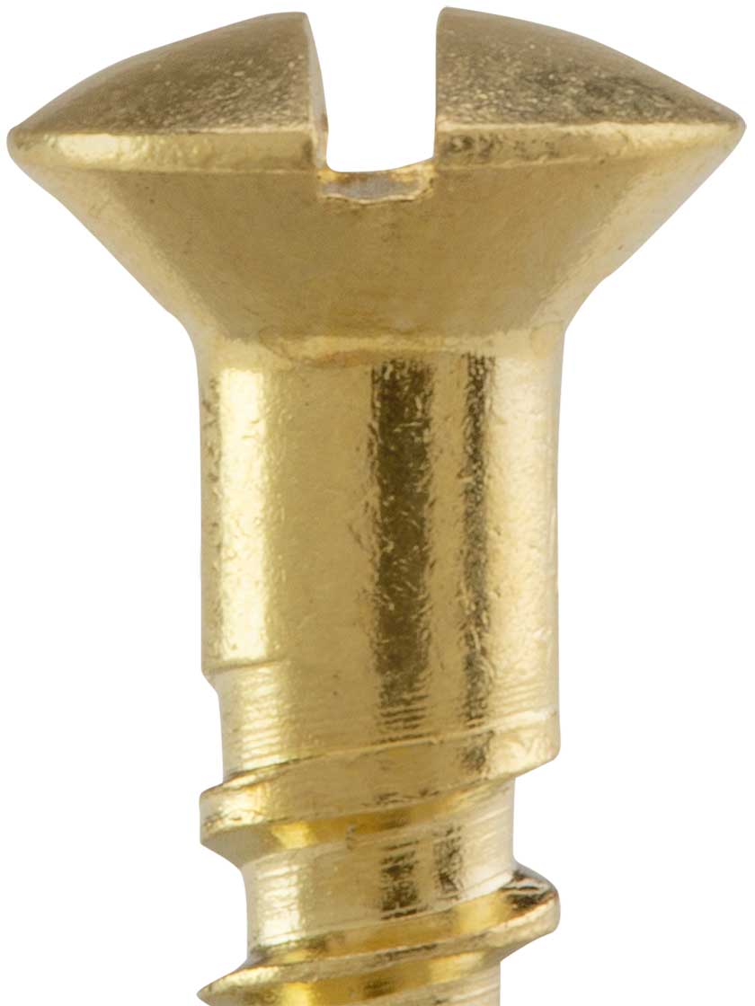 Alternate View of #6 x 1/2 Inch Oval Head Slotted Brass Wood Screws - 25 Pack.
