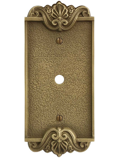 Alternate View of Art Nouveau Single Gang Cable Outlet Cover Plate in Antique-By-Hand Finish.