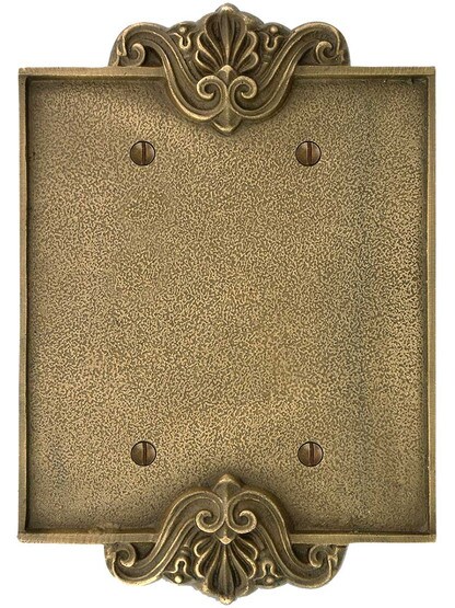 Alternate View of Art Nouveau Double Blank Switch Plate Cover in Antique-By-Hand Finish.