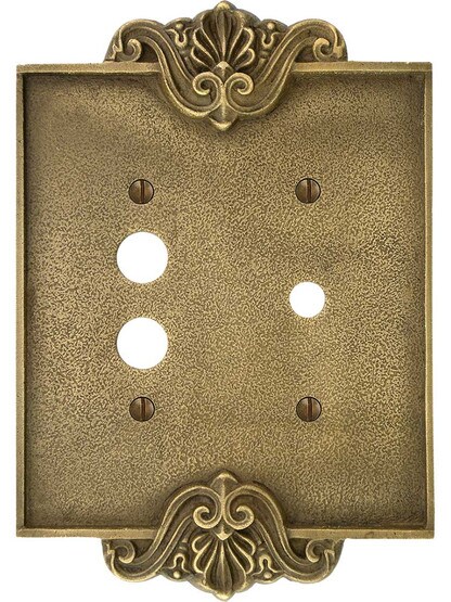 Alternate View of Art Nouveau Push Button/Rotary Dimmer Combination Switch Plate In Antique-By-Hand.