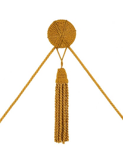 Alternate View of Vera Rosette and Tassel Picture Hanger with Nail Mount.