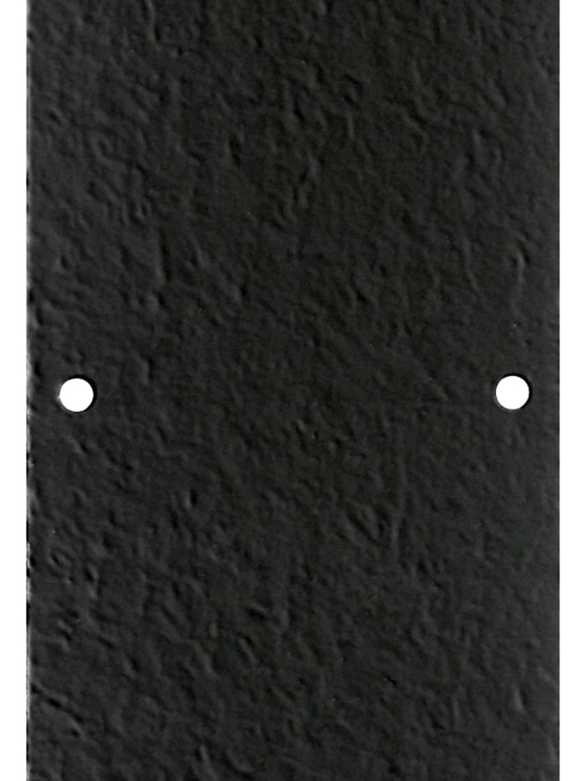 Plain Cast Iron Push Plate | House of Antique Hardware