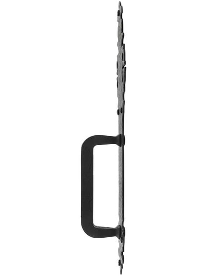 Alternate View of Warwick Iron Entry Handle With 17 inch Backplate.