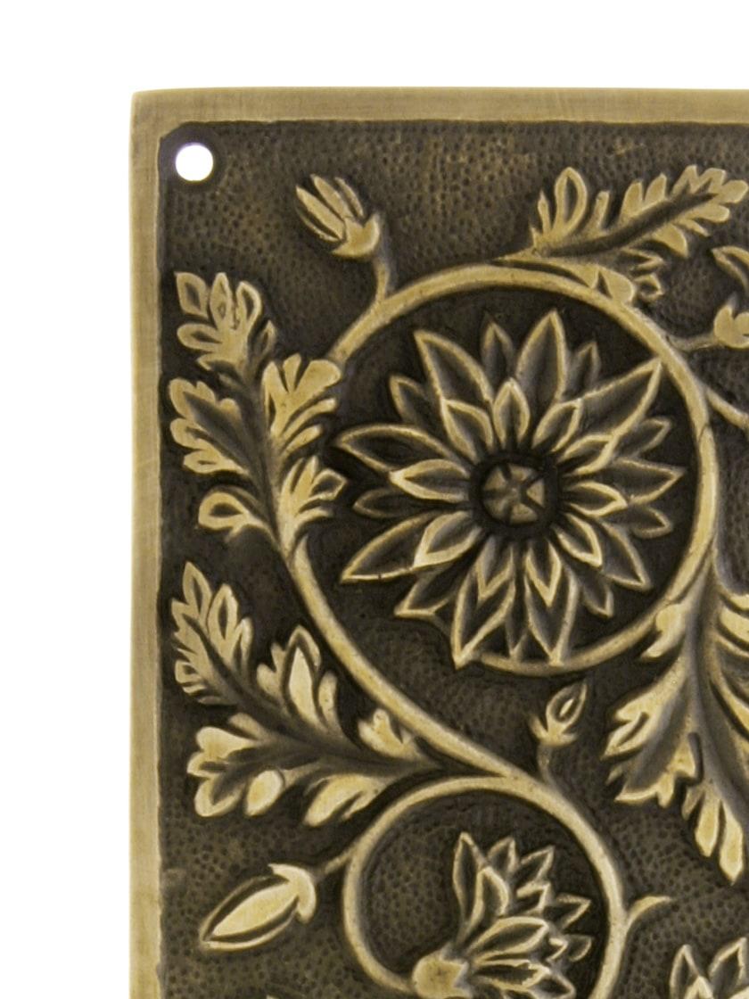 Tropical Parrot Push Plate In Antique-By-Hand Finish | House of