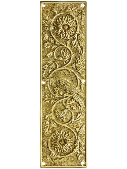 Tropical Parrot Push Plate In Solid, Cast Brass