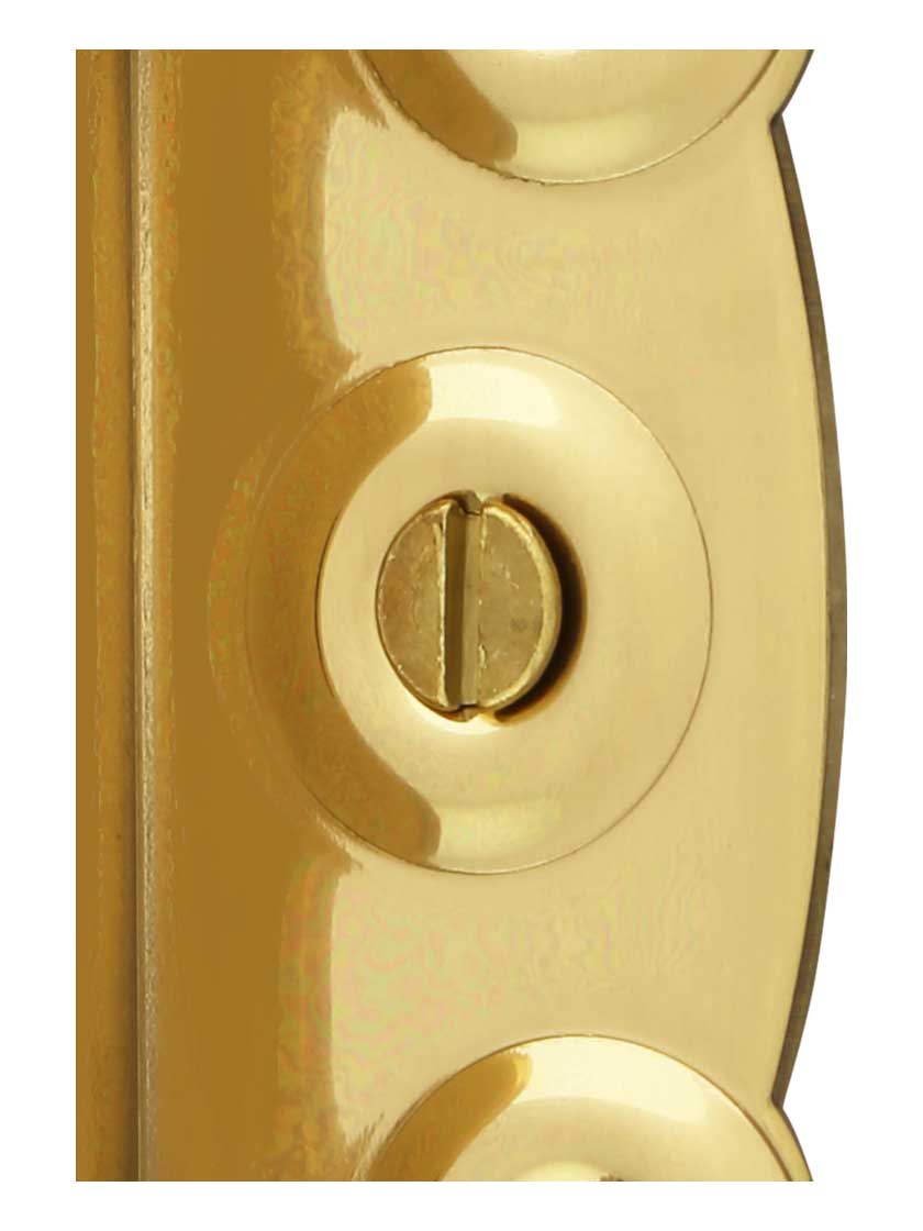 HalfSurface Screen Door Hinge With Ball Tips House of Antique Hardware