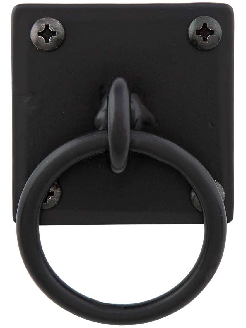 Alternate View of Stainless Steel Plate Mount Ring Pull.