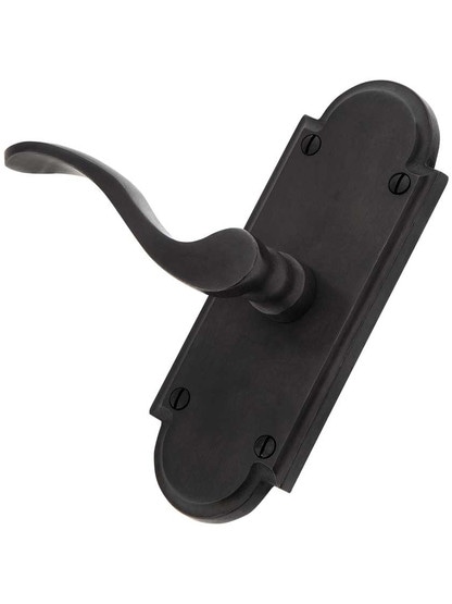 Alternate View 3 of Solid Bronze Arched-Plate Door Set with Chester Levers.