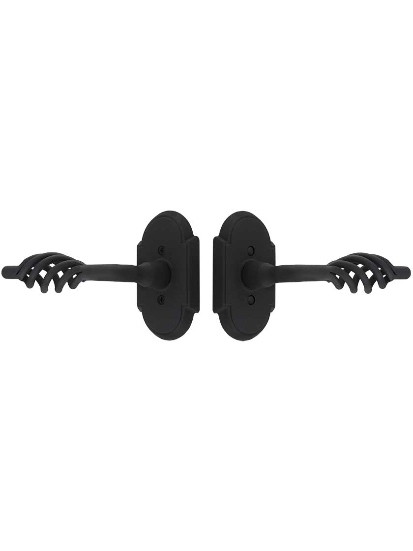 Alternate View of Wrought Steel Arched-Rosette Door Set with Lafayette Levers.