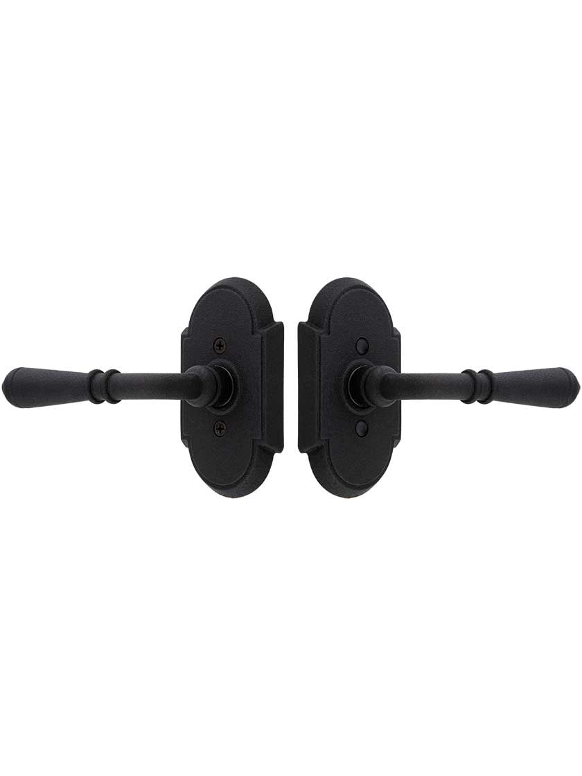 Alternate View of Wrought Steel Arched Rosettes With Normandy Levers