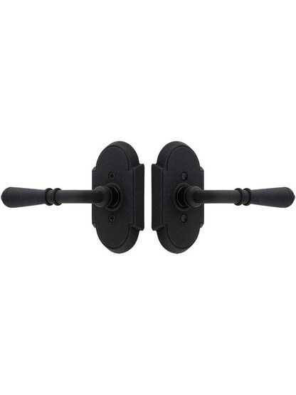 Alternate View of Wrought Steel Arched Rosettes With Normandy Levers