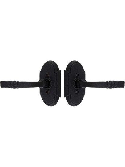 Alternate View of Wrought Steel Arched Rosettes With San Carlos Levers