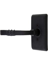 Wrought Steel Providence Door Set With San Carlos levers