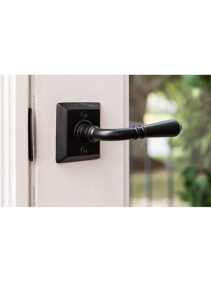 Quincy Rosette Door Set with Turino Levers