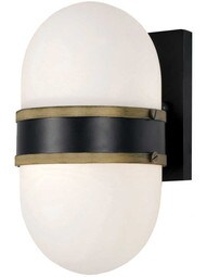 Capsule 1 Light Outdoor Wall Mount.