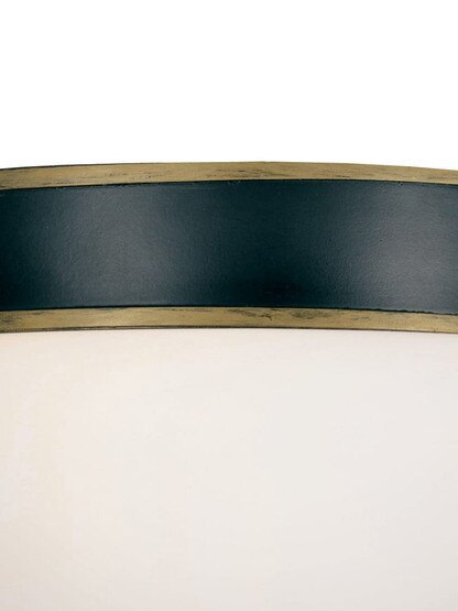 Capsule 2 Light Outdoor Ceiling Mount