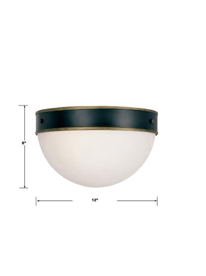 Capsule 2 Light Outdoor Ceiling Mount