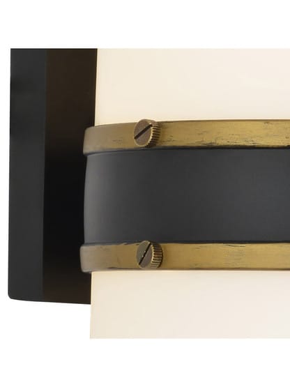 Capsule 8 Inch 2 Light Outdoor Wall Mount