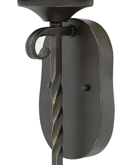 Casa Large 1-Light Sconce With Seedy Glass