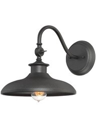 Raleigh 1-Light Wall Sconce