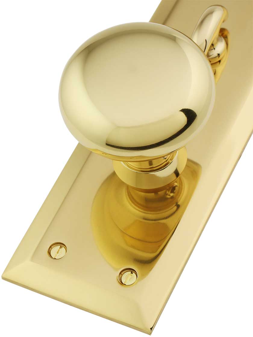 New York LargePlate Mortise Entry Set with Rosette Interior House of