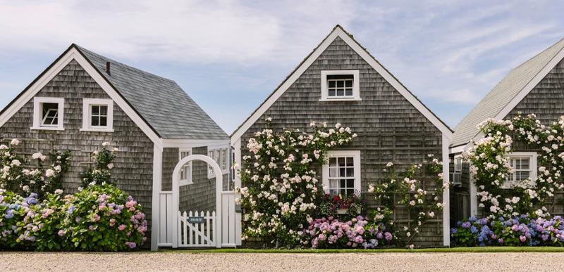 Cape Cod style houses on Martha's Vinyard