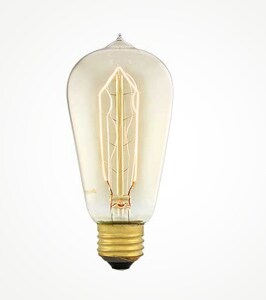 Edison Style Light Bulb
